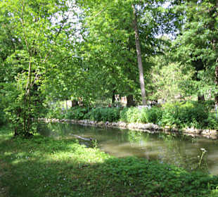 Bachläufe im Schlosspark