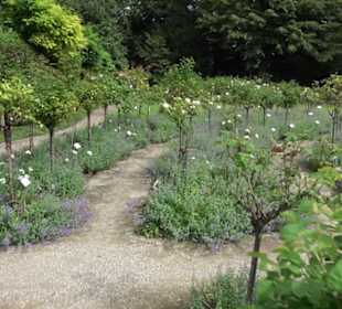 Rosengarten auf der Roseninsel