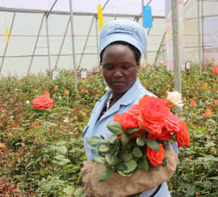 Julius Tact / JT Safaris