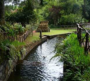 Queimadas/Caldeirão Verde