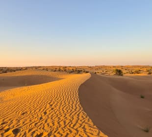 Al Maha Desert