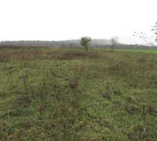 Naturschutzgebiet Listhof