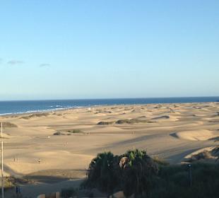Die tolle Dünenlandschaft 