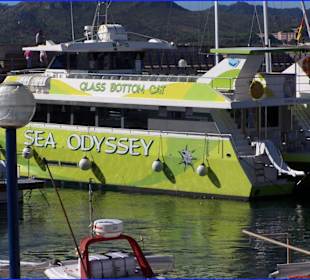 Sea Odyssey Glas Bottom Cat