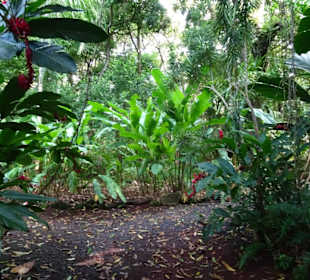 Impressionen aus dem Jardin des Parfums
