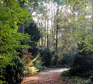 Herbstspaziergang durch den Schlosspark