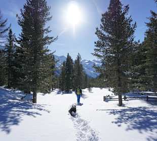 Wandern Silandro / Schlanders