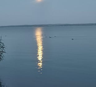 Balaton / Plattensee