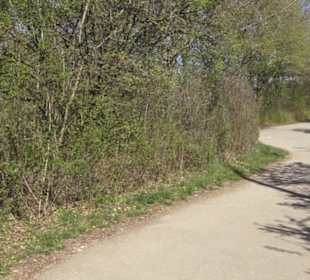 Sport- und Freizeitpark Markwasen