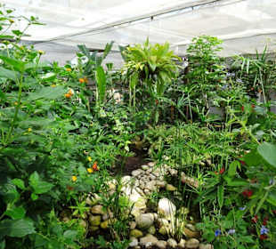 Rundgang durch den Jardin des Papillons