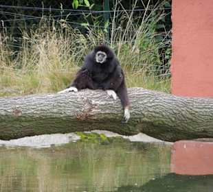 Serengeti Park Hodenhagen