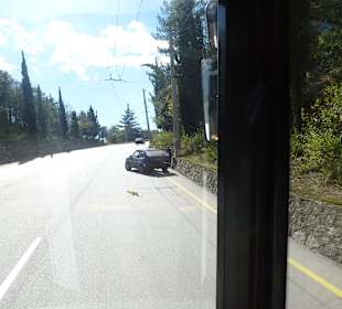 Der Lada hat den Gesit aufgegeben.