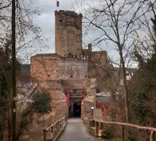 Ehrenburg
