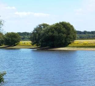 Grietherorter Altrhein