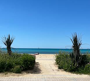 Strand