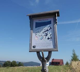 Hala Boracza - miejsce wypasu owiec