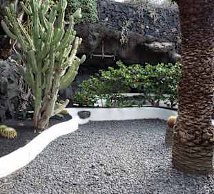 Fundacion Cesar Manrique