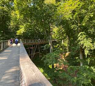 Baumwipfelpfad, Rügen