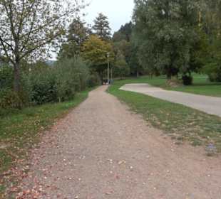 Baumkronenweg Waldkirch