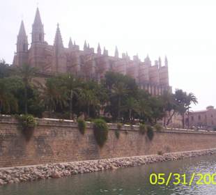 Palma