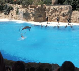 Loro Parque 