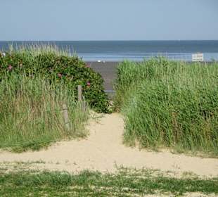 Eindrücke vom Sahlenburger Strand
