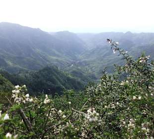 Fantastische Aussicht