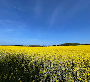 Wandern Lohme auf Rügen