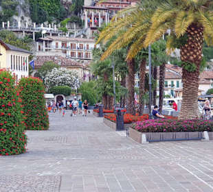 Alles mit Geranien geschmückt