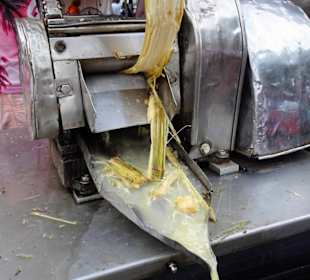 Rundgang über den Marché forain du Front de Mer