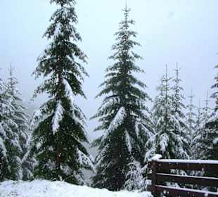 Plöckenpass Ende September 2010