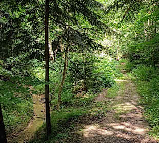 Waldweg