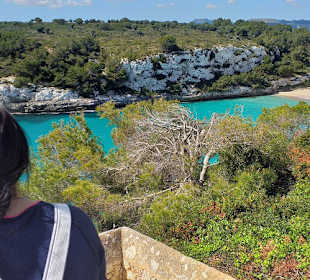 Radwanderweg Vía Verde zwischen Manacor und Arta