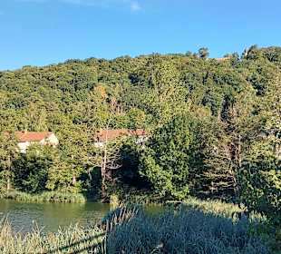 Wandern Bad Dürkheim