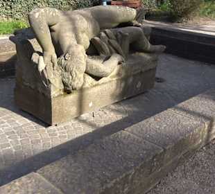 Junge Alb Brunnen