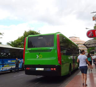 Bus Nr. 345