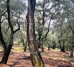 Wandern Kerkyra
