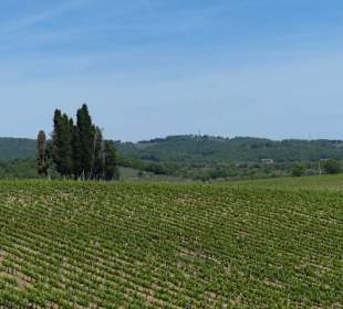 Fahrt durchs Chianti