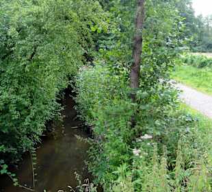 Spaziergang durch das Schönebecker Auetal