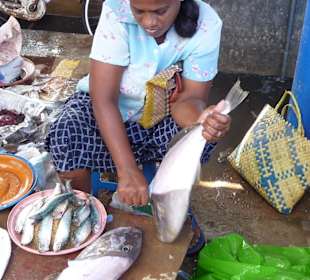 Fischmarkt in Negombo