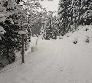 Sport & Freizeit
