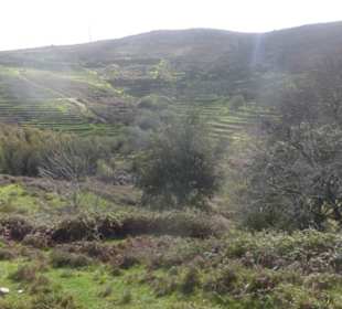 Wanderung in der Serra de Monchique