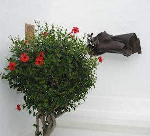 Vor der Eingangstüre