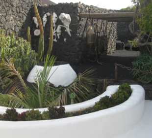 Fundacion Cesar Manrique