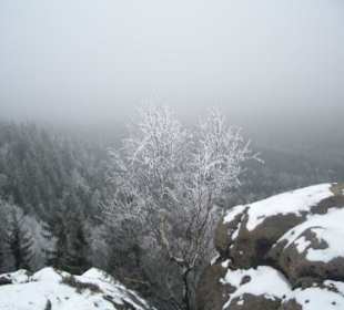 Untewegs