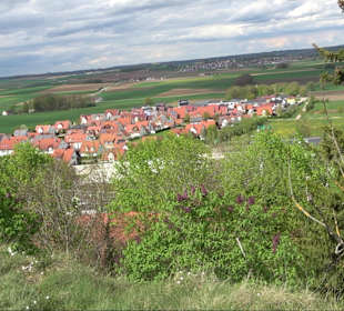 Wallersteiner Felsen