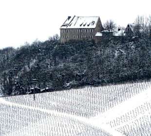 Burg und umliegende Weinberge