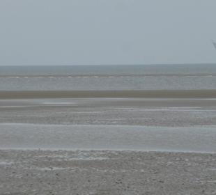 Unterwegs am Strand von St, Peter Ording bei Ebbe