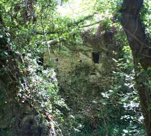 Mili Gorge Impression