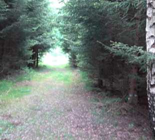 Klimaweg Sonnenalb